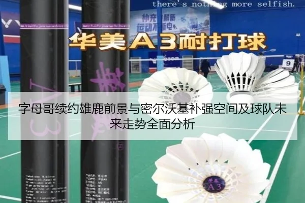 字母哥续约雄鹿前景与密尔沃基补强空间及球队未来走势全面分析