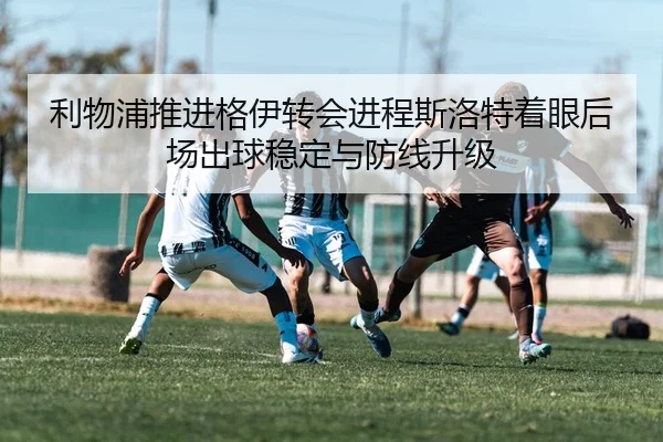 img_1783861130030_680_1_182.jpg